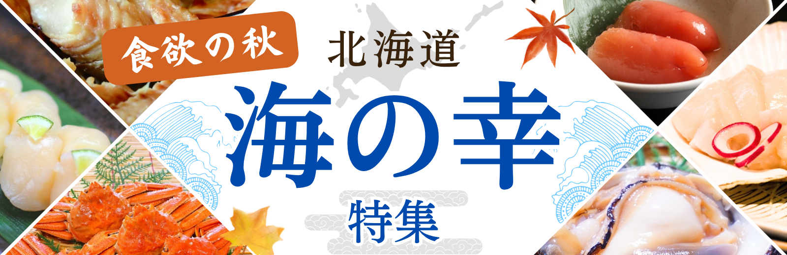 特集画像
