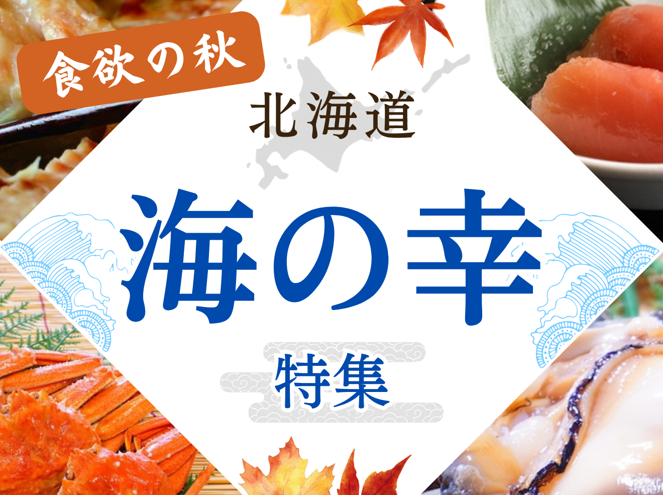 特集バナー